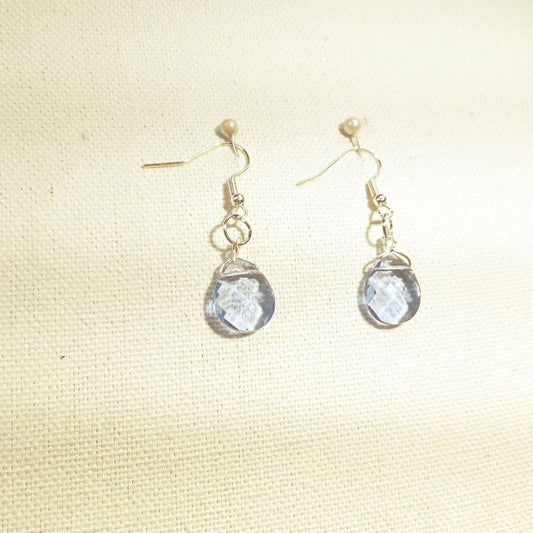 8303 Water Drop Earrings